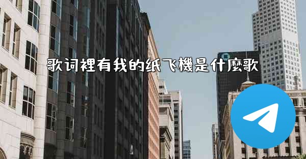 歌词裡有我的纸飞機是什麼歌