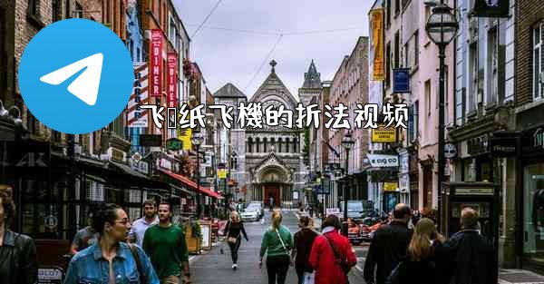 <b>飞鲨纸飞機的折法视频</b>