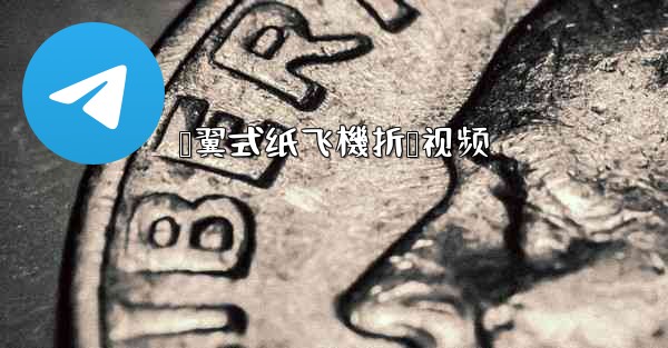 鸭翼式纸飞機折叠视频