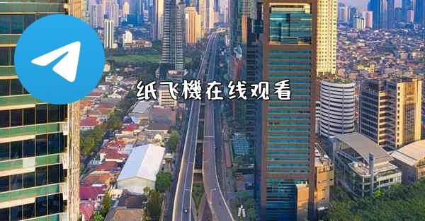 <b>纸飞機在线观看</b>