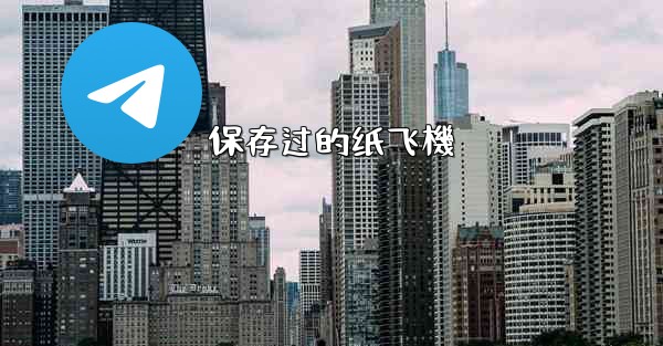 保存过的纸飞機