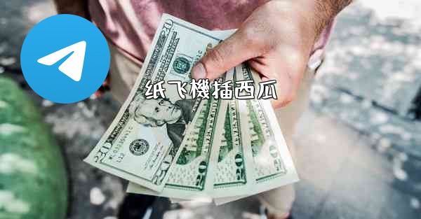 纸飞機插西瓜
