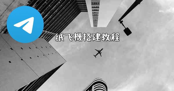 纸飞機搭建教程