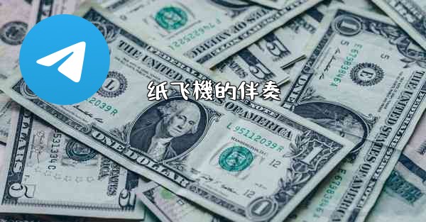 <b>纸飞機的伴奏</b>