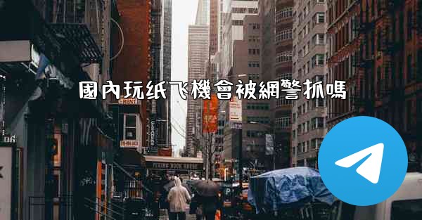 國內玩纸飞機會被網警抓嗎