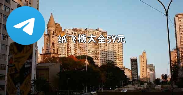 纸飞機大全59元