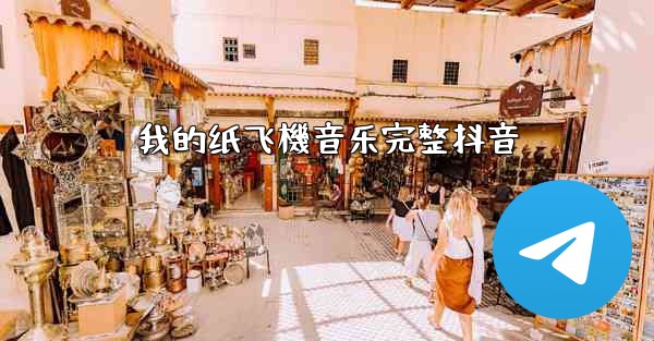 我的纸飞機音乐完整抖音