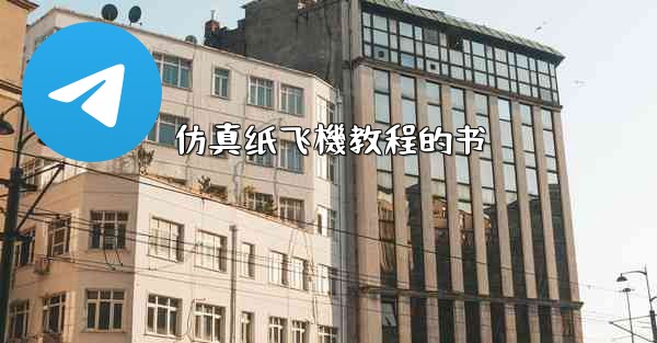 仿真纸飞機教程的书