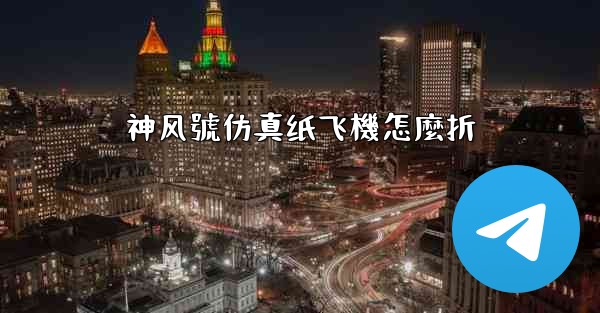 <b>神风號仿真纸飞機怎麼折</b>