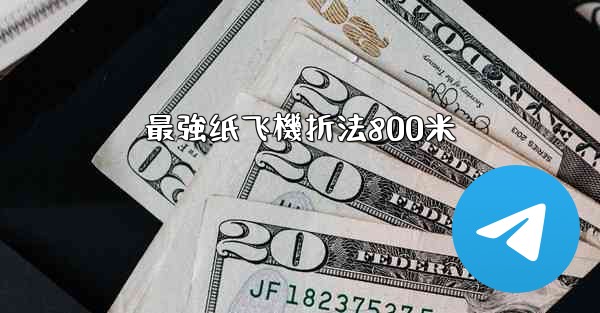 最強纸飞機折法800米