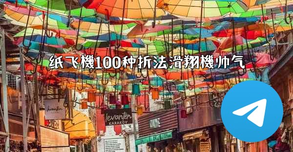 <b>纸飞機100种折法滑翔機帅气</b>