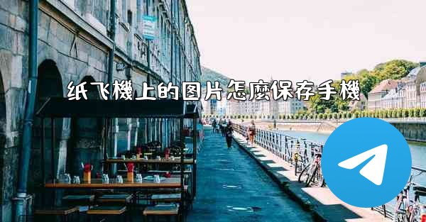 纸飞機上的图片怎麼保存手機