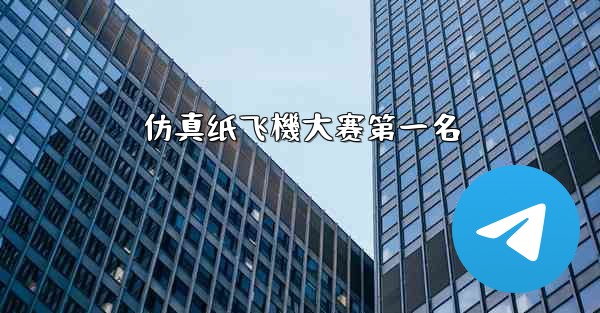 仿真纸飞機大赛第一名