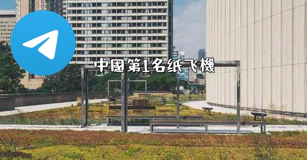 中國第1名纸飞機