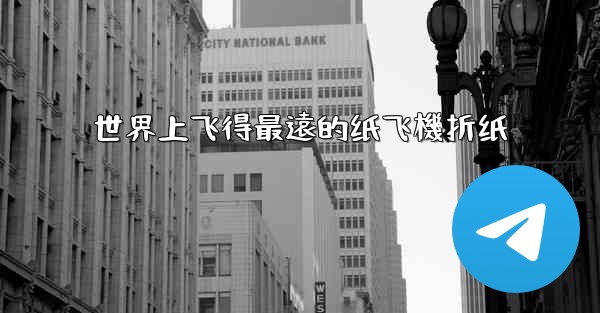 世界上飞得最遠的纸飞機折纸