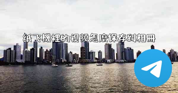 纸飞機裡的视频怎麼保存到相冊