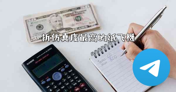 <b>折仿真度最高的纸飞機</b>