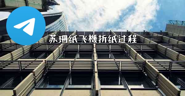 苏珊纸飞機折纸过程