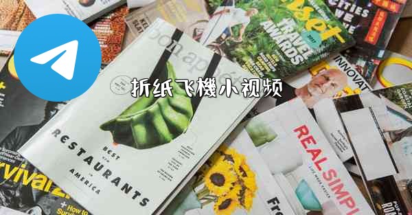 折纸飞機小视频