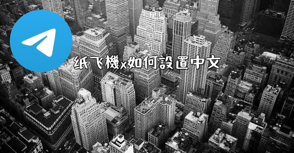 纸飞機x如何設置中文