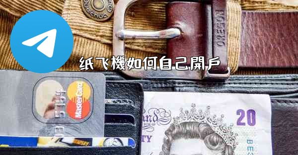 纸飞機如何自己開戶
