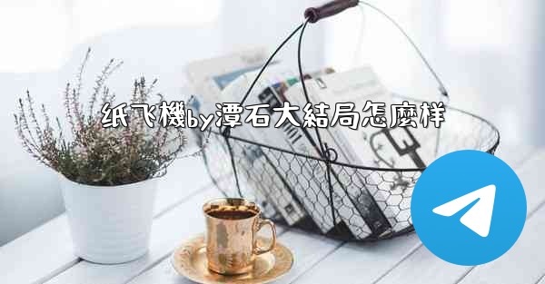 纸飞機by潭石大結局怎麼样