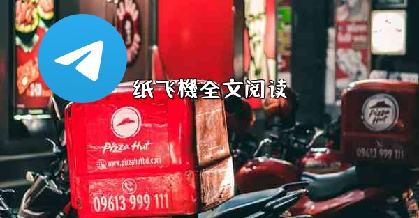 纸飞機全文阅读