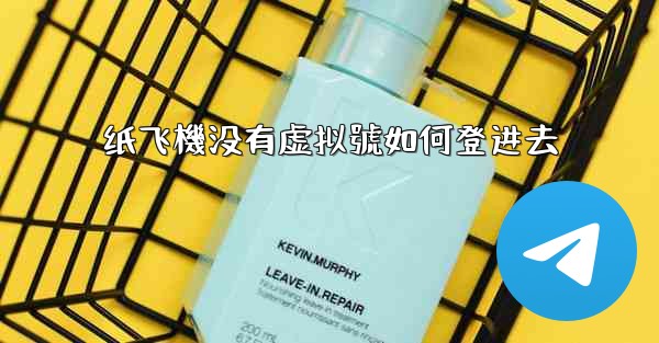 纸飞機没有虚拟號如何登进去