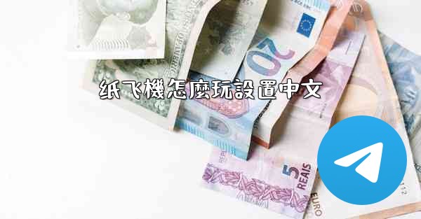 纸飞機怎麼玩設置中文