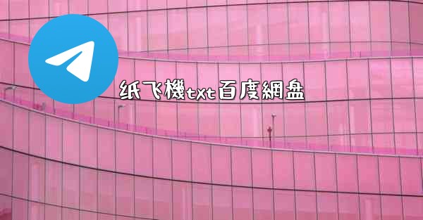 纸飞機txt百度網盘