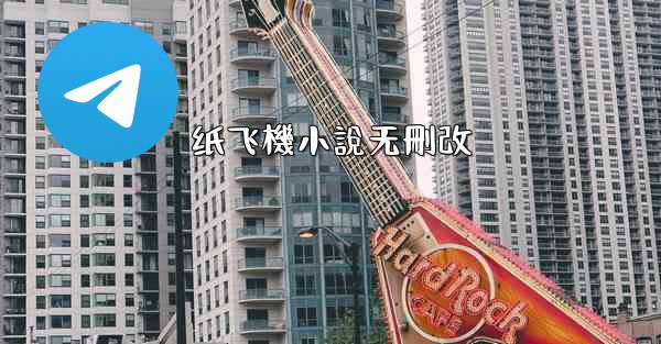 纸飞機小說无刪改