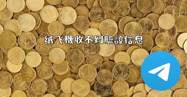 纸飞機收不到驗證信息