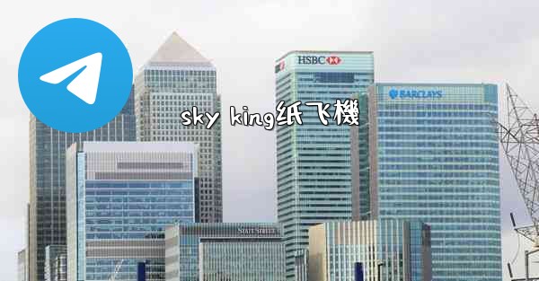sky king纸飞機