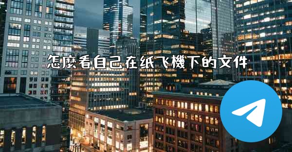 <b>怎麼看自己在纸飞機下的文件</b>