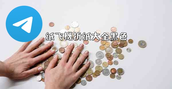 <b>纸飞機折纸大全黑色</b>