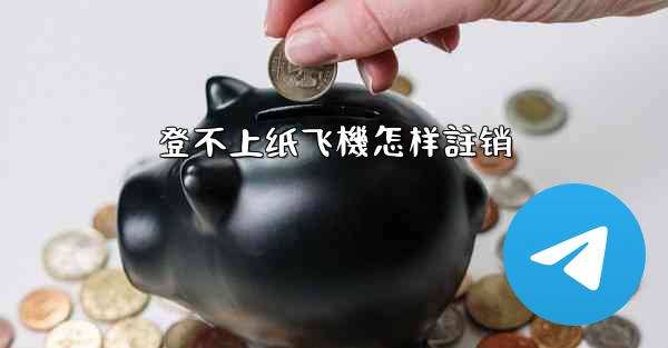 登不上纸飞機怎样註销