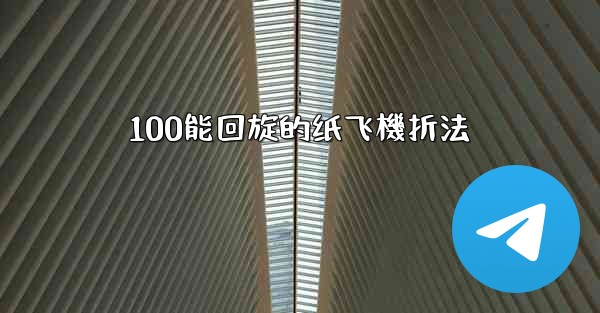 <b>100能回旋的纸飞機折法</b>