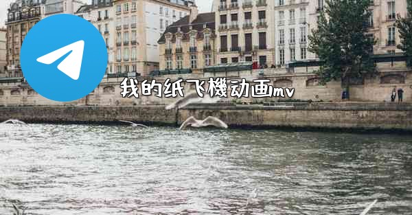 <b>我的纸飞機动画mv</b>