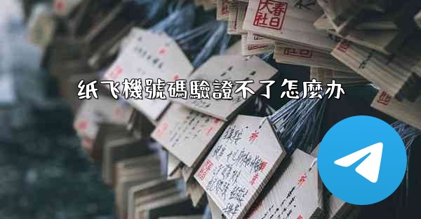 纸飞機號碼驗證不了怎麼办