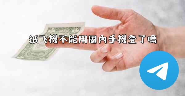 纸飞機不能用國內手機登了嗎