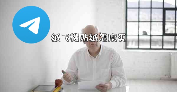 纸飞機贴纸怎麼买