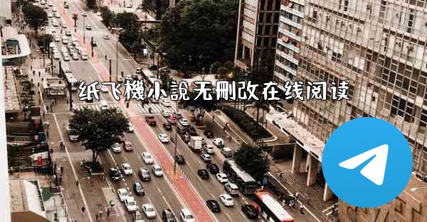 纸飞機小說无刪改在线阅读