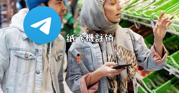 纸飞機註销