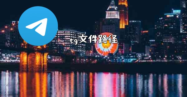 tg文件路径