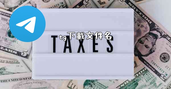 tg下載文件名