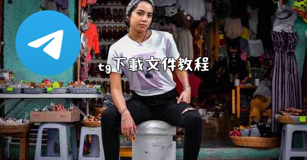 <b>tg下載文件教程</b>