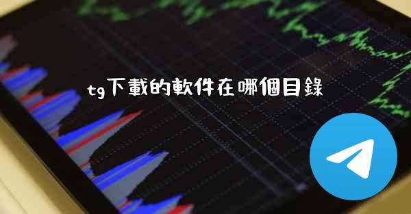 tg下載的軟件在哪個目錄