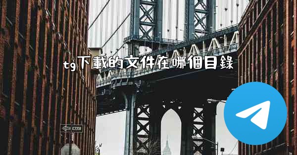 tg下載的文件在哪個目錄