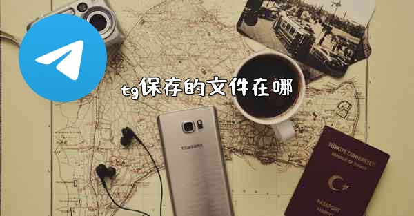 tg保存的文件在哪