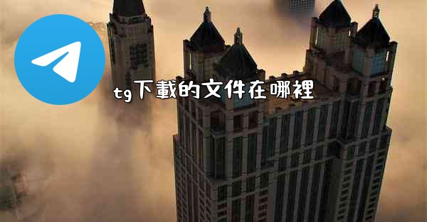 tg下載的文件在哪裡